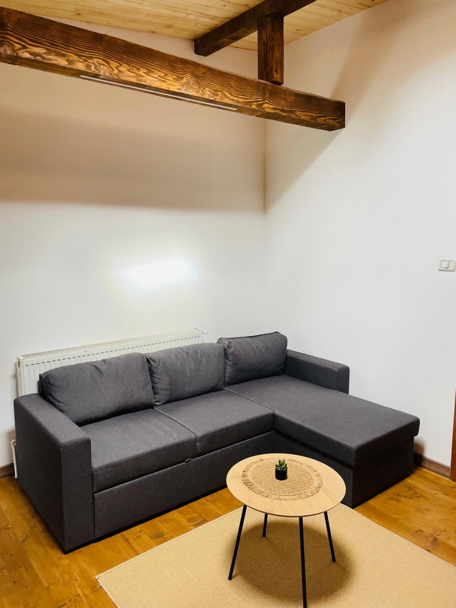 Pensiunea Ioana Borsa  Room photo